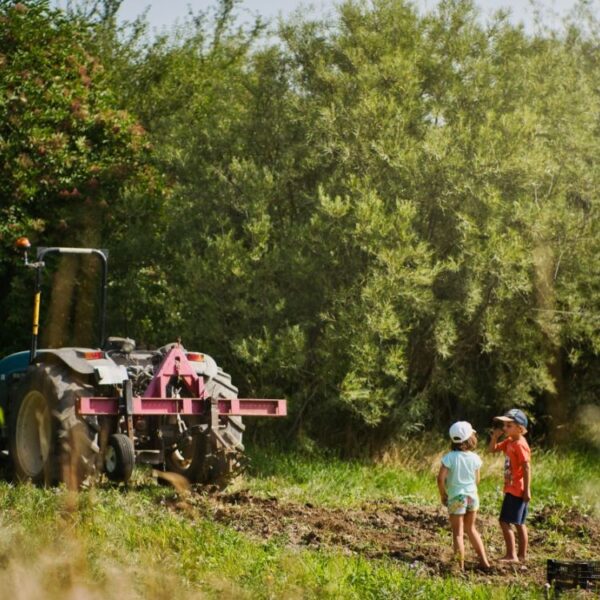 Tracteur et enfants - Séjour été au cœur de la ferme avec Bayard Jeunesse